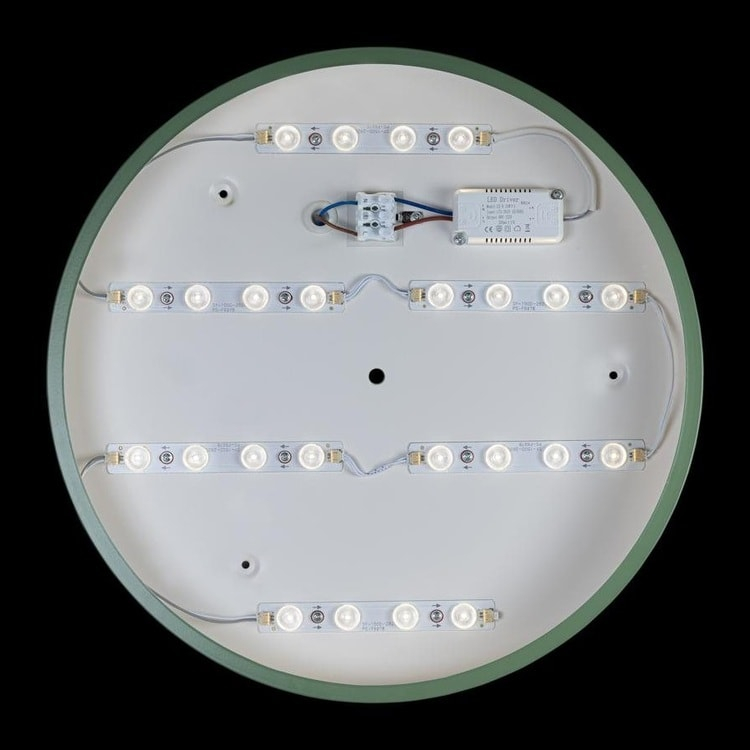 Потолочный светильник LOFT IT Axel 10002/24 Green
