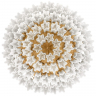 Потолочный светильник LOFT IT Murano 10580C/800 White Потолочный светильник LOFT IT Murano 10580C/800 White