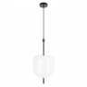 Подвесной светильник LOFT IT Venice 10223/D White Подвесной светильник LOFT IT Venice 10223/D White