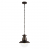 Подвесной светильник LOFT IT Piemonte 100022P
