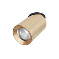 Встраиваемый светильник LOFT IT Bar 10345 Gold