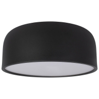 Потолочный светильник LOFT IT Axel 10201/350 Black
