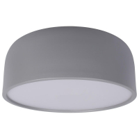 Потолочный светильник LOFT IT Axel 10201/350 Grey