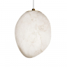 Подвесной светильник LOFT IT Fionora 10531A Подвесной светильник LOFT IT Fionora 10531A