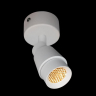 Потолочный светильник LOFT IT Comb 10330/A White
