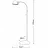 Торшер Quoizel Whitney QZ-WHITNEY-FL Торшер Quoizel Whitney QZ-WHITNEY-FL