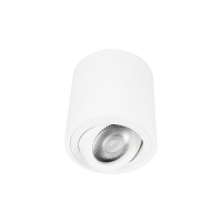 Потолочный светильник LOFT IT Unit 10340/B White