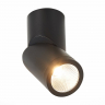 Потолочный светильник ST Luce ST650.442.10