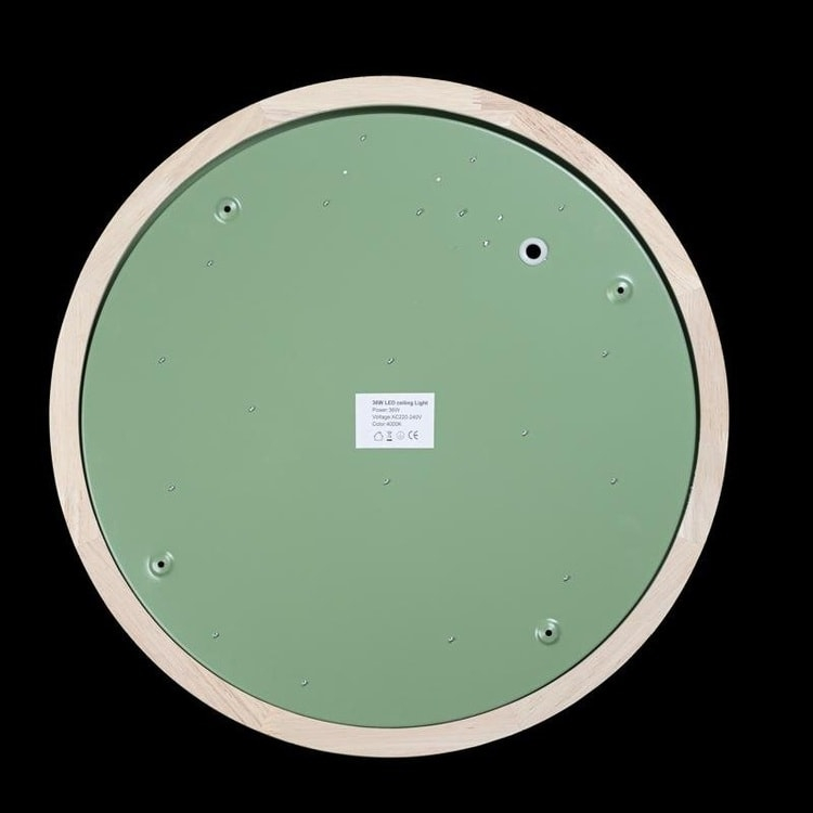 Потолочный светильник LOFT IT Axel 10001/36 Green