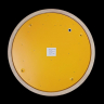 Потолочный светильник LOFT IT Axel 10001/36 Yellow