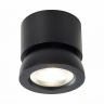 Потолочный светильник ST Luce ST654.442.10 Потолочный светильник ST Luce ST654.442.10