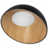Потолочный светильник LOFT IT Egg 10197/500 Black