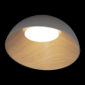Потолочный светильник LOFT IT Egg 10197/500 Grey