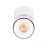 Потолочный светильник LOFT IT Focus 10323/A White