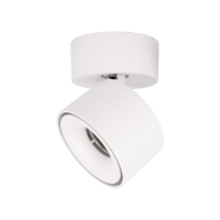 Потолочный светильник LOFT IT Focus 10323/A White