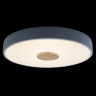 Потолочный светильник LOFT IT Axel 10003/24 Grey