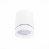 Потолочный светильник ST Luce ST115.532.12 Потолочный светильник ST Luce ST115.532.12