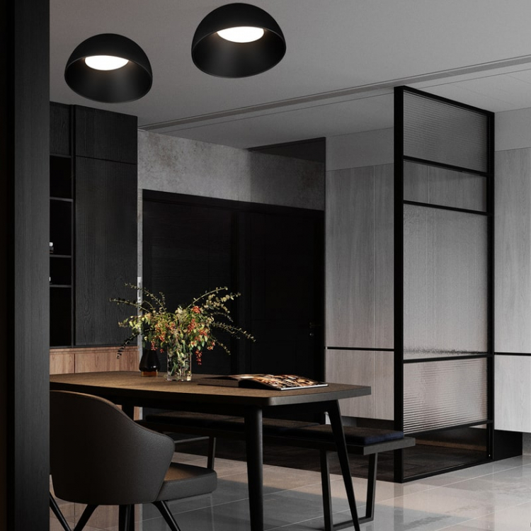 Потолочный светильник LOFT IT Egg 10197/350 BB