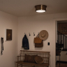 Потолочный светильник Kichler Serca KL-SERCA-F-M-BNB